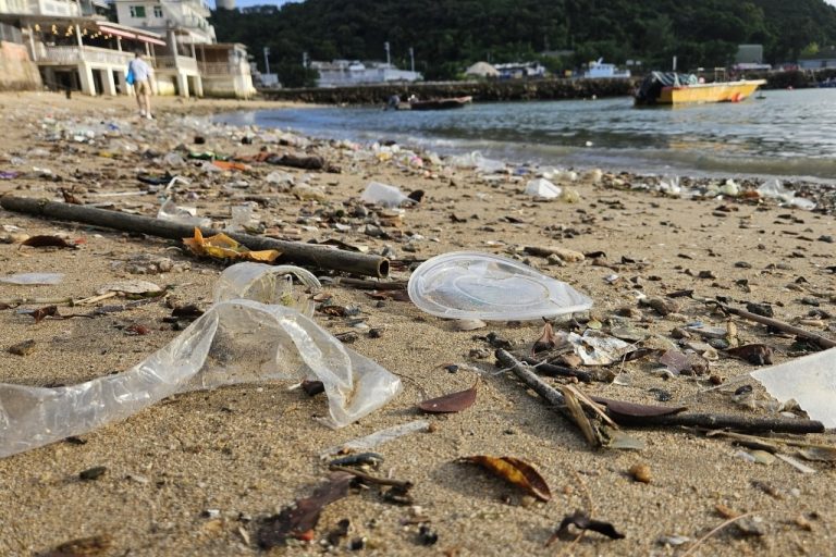 “How Hong Kong’s Plastic Ban is Transforming Everyday Life: Is It Enough for a Greener Future?”