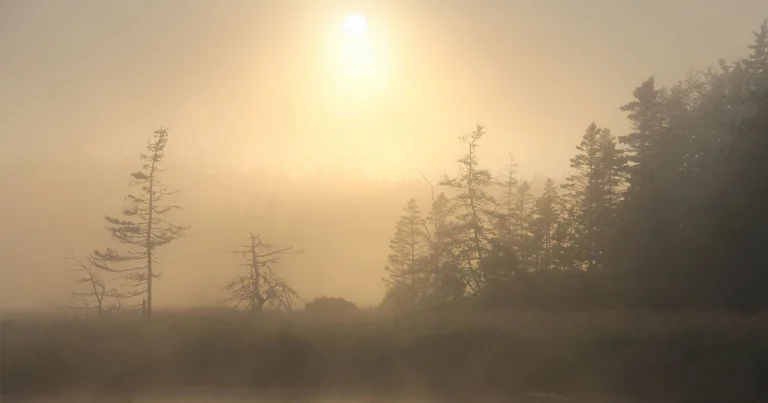 Rediscover Frank Graham’s Timeless Classic: “Of Dreams and Dread” from the Archives