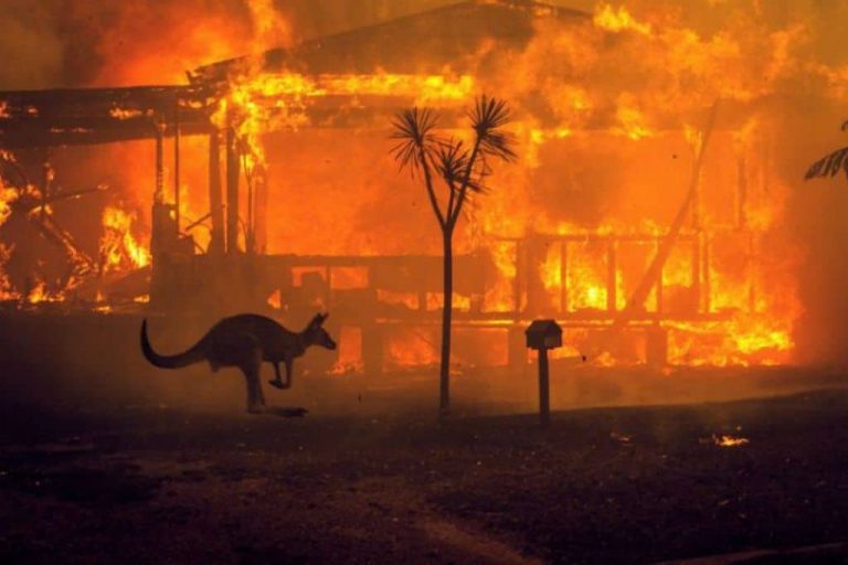“Australian Cities in Danger of Wildfires Similar to Los Angeles”