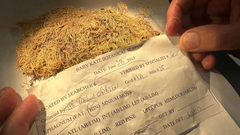 “How This Small Plant is Revolutionizing Crime Solving”